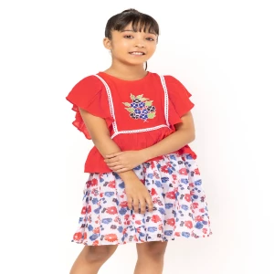 Red Embroidered Mixed Cotton Skirt Top Set
